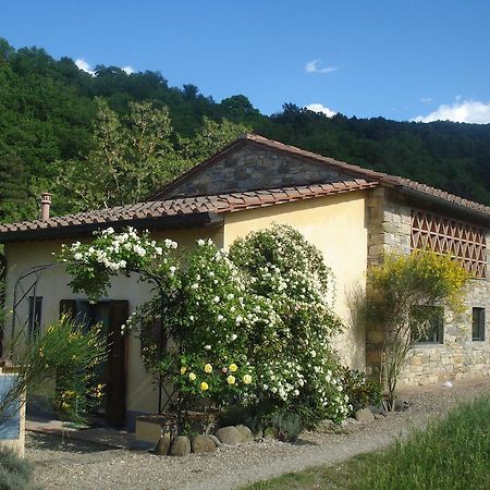 Il Cielo Bio - Il Piu Piccolo B&B Del Chianti Greve in Chianti Exterior photo