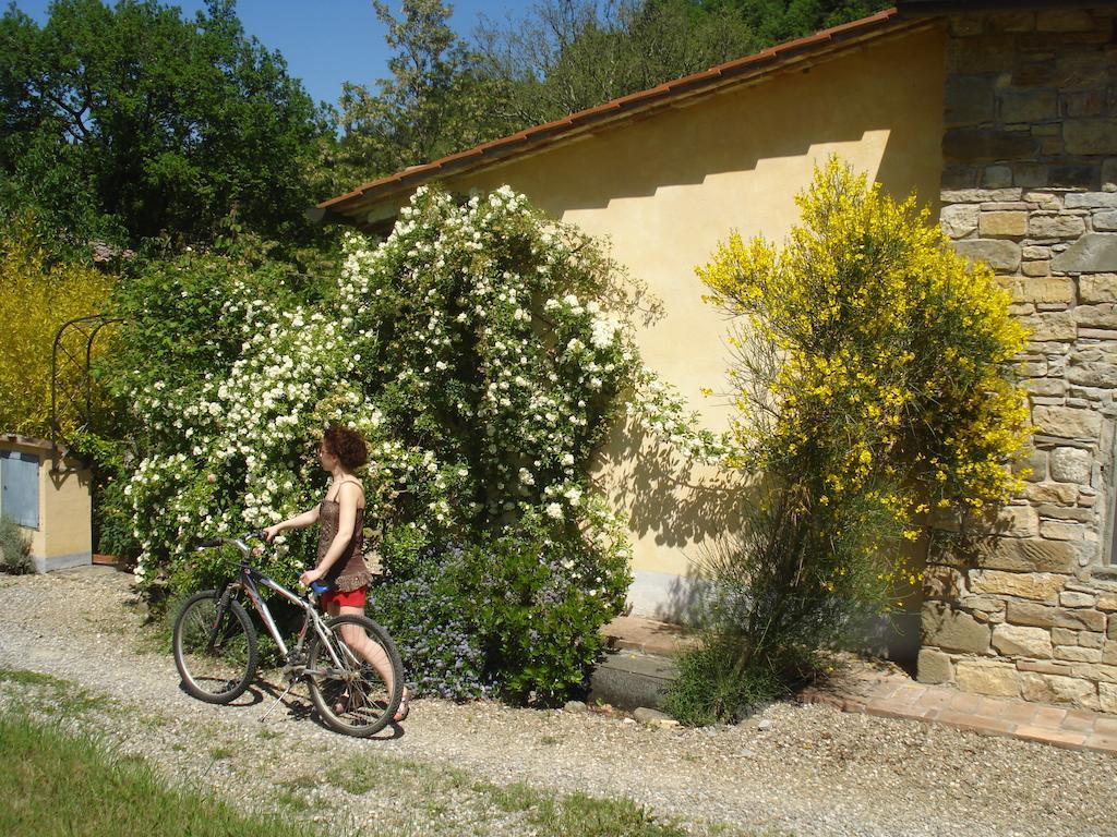 Il Cielo Bio - Il Piu Piccolo B&B Del Chianti Greve in Chianti Exterior photo
