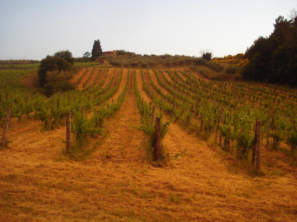 Il Cielo Bio - Il Piu Piccolo B&B Del Chianti Greve in Chianti Exterior photo