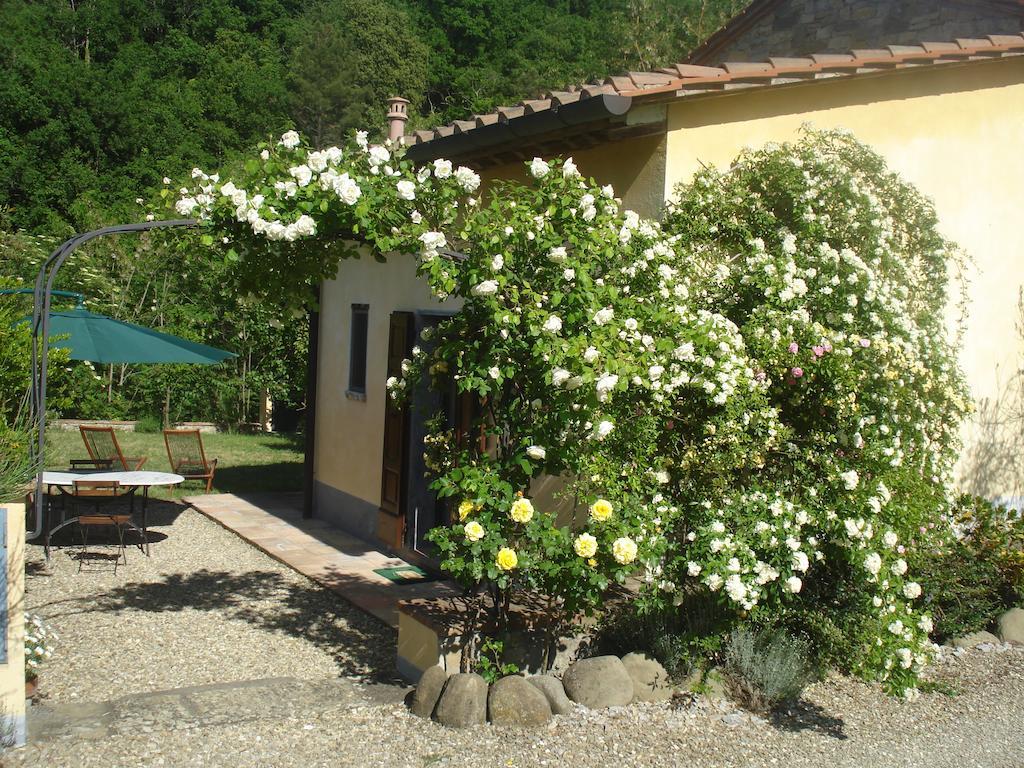 Il Cielo Bio - Il Piu Piccolo B&B Del Chianti Greve in Chianti Exterior photo