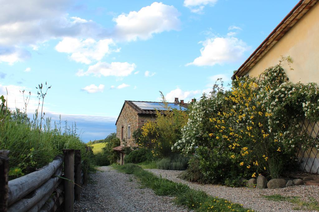 Il Cielo Bio - Il Piu Piccolo B&B Del Chianti Greve in Chianti Exterior photo